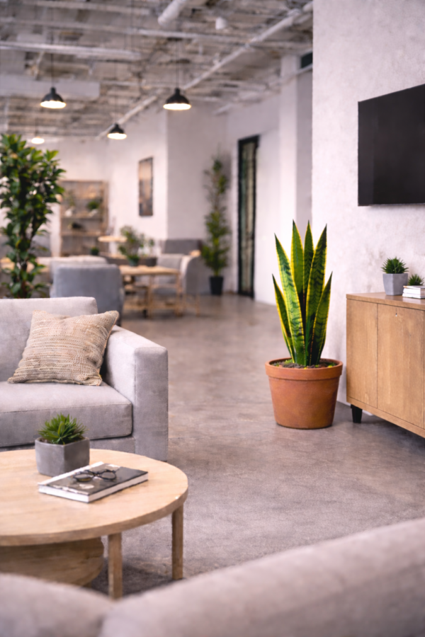 12 inch pot – Tranquil Wellbeing Influence