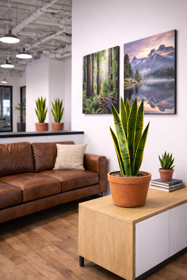 14 inch pot – Nature Based Atmosphere